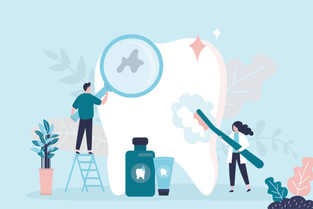 Professional  Holistic Dental Services in Stanwood, WA